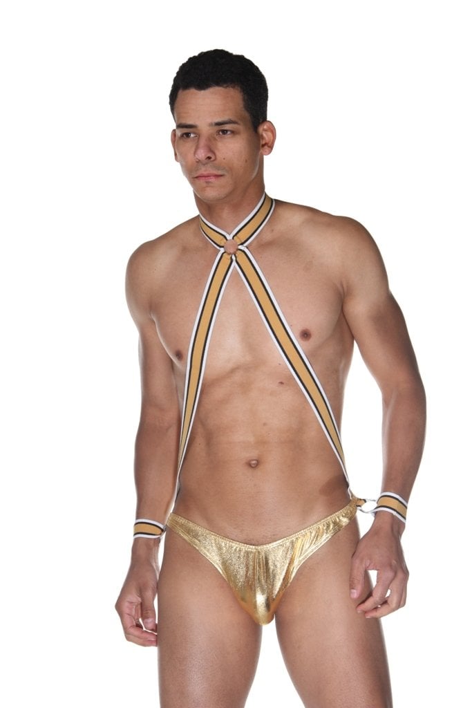 Erkek Fantazi Arka Dekolteli Erkek Body