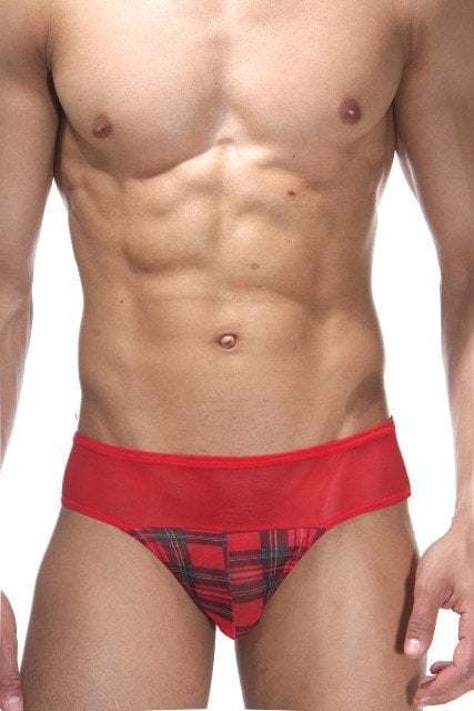 Erkek Ekose Tül Tanga Çamaşır